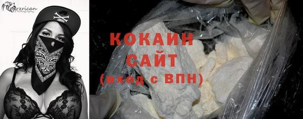 прущие грибы Гусиноозёрск