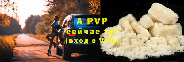 крисы Мегион
