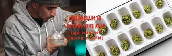 крисы Мегион