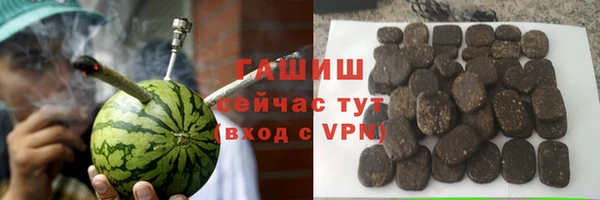 крисы Мегион