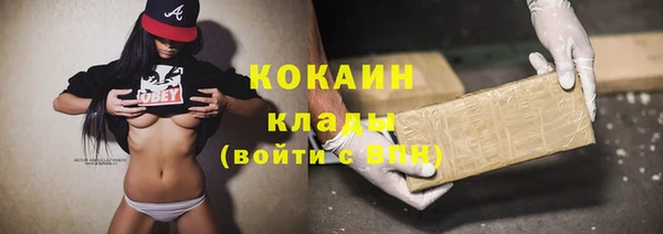 крисы Мегион