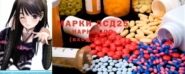 крисы Мегион